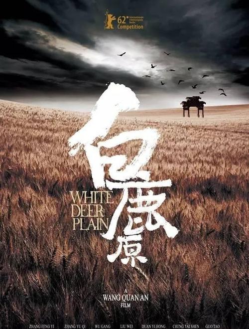 沃伦办理假驾驶证